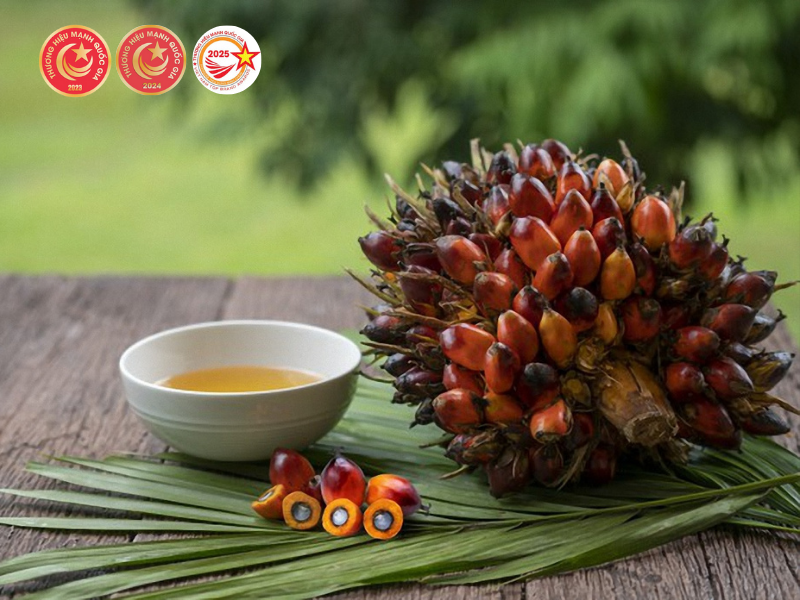 Tinh dầu cọ giúp thư giãn đầu óc, giải pháp tìm tới giấc ngủ ngon